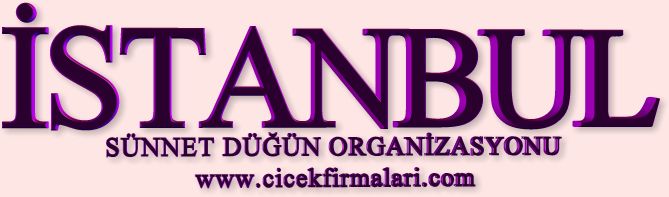istanbul snnet dgn organizasyonu